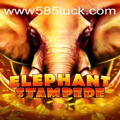 Experience the Thrill of ElephantStampede on the 585Luck.COM Platform - Official Slots Brasil #1